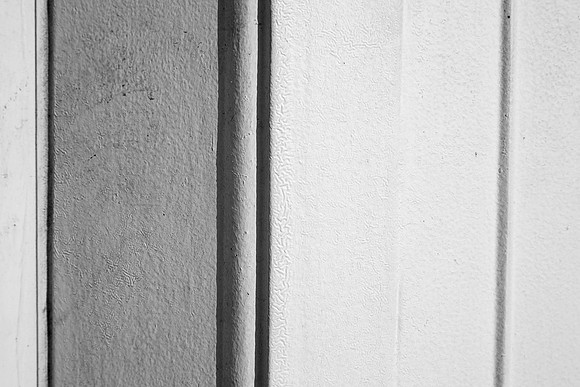 _MG_3681