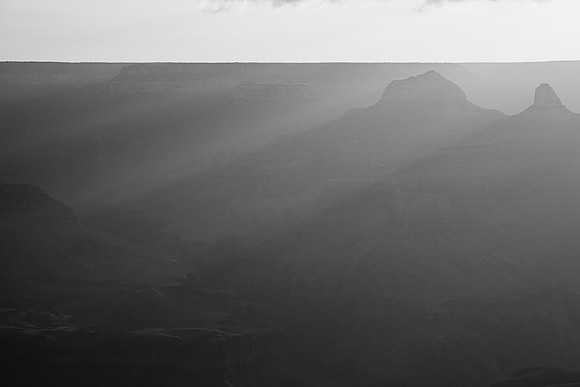 IMG_4184