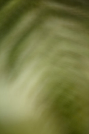 _MG_5640